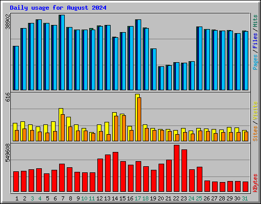 Daily usage for August 2024