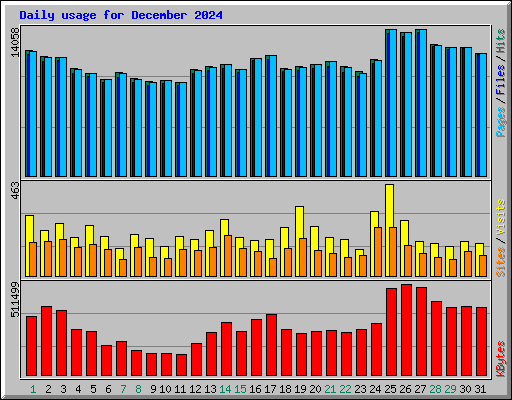 Daily usage for December 2024