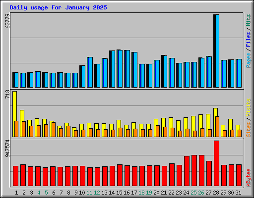 Daily usage for January 2025