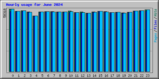 Hourly usage for June 2024