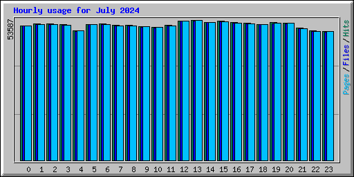 Hourly usage for July 2024