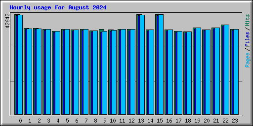 Hourly usage for August 2024