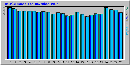 Hourly usage for November 2024