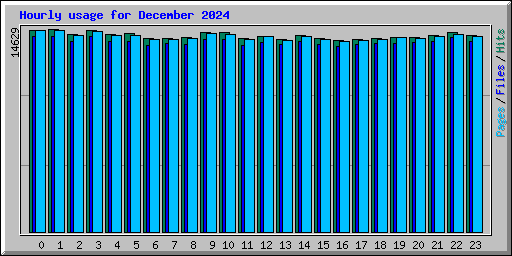 Hourly usage for December 2024