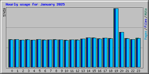 Hourly usage for January 2025