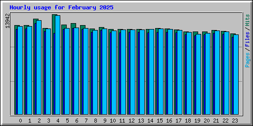 Hourly usage for February 2025
