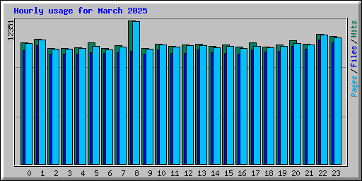 Hourly usage for March 2025