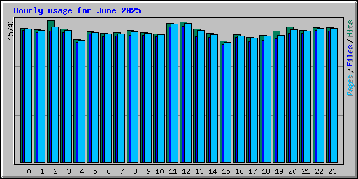Hourly usage for June 2025