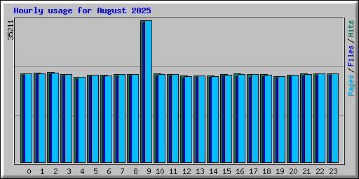 Hourly usage for August 2025