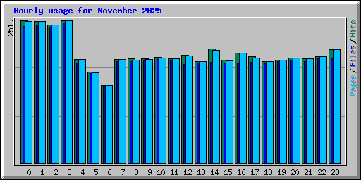 Hourly usage for November 2025